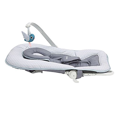 BABYMOOV Transat bébé graphik, balancelle ou fixe, molletonné, pliage  compact, déhoussable, peche